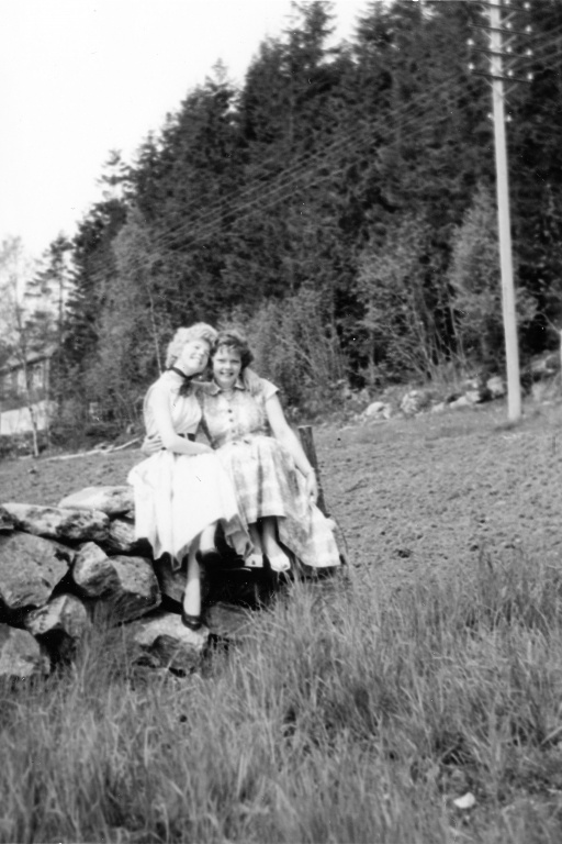 Steinnes.1988-retusjert.jpg Steinnes.1988-retusjert.jpg