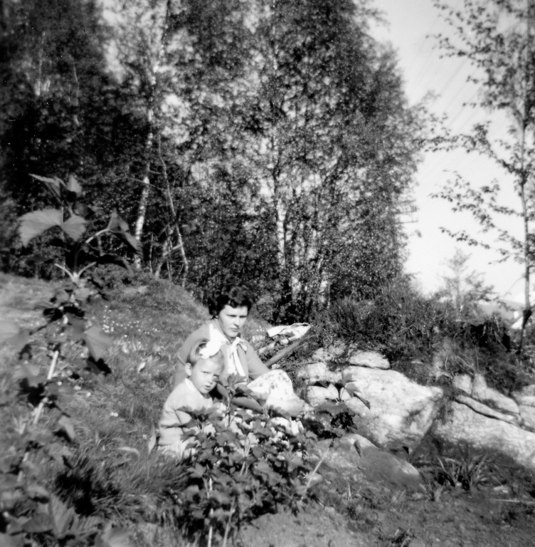 Steinnes.1995-retusjert.jpg Steinnes.1995-retusjert.jpg