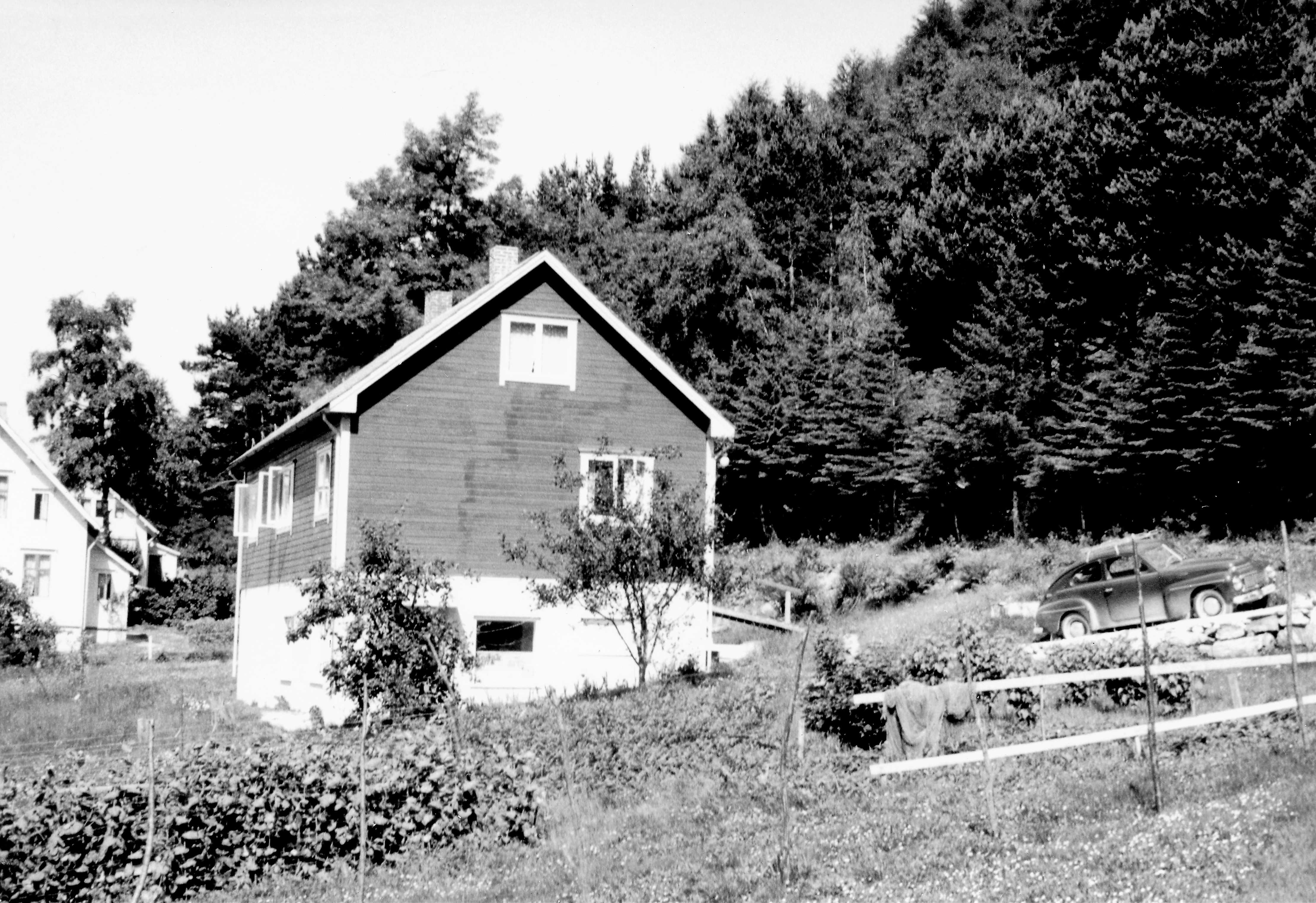 Steinnes.1990-retusjert.jpg Steinnes.1990-retusjert.jpg