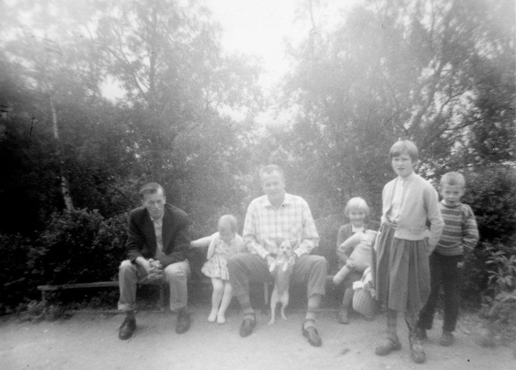 Steinnes.2009-retusjert.jpg Steinnes.2009-retusjert.jpg