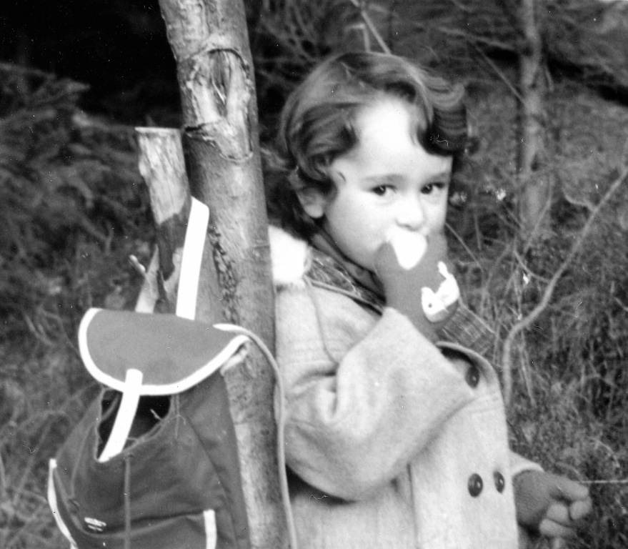 Steinnes.2073-retusjert.jpg Steinnes.2073-retusjert.jpg